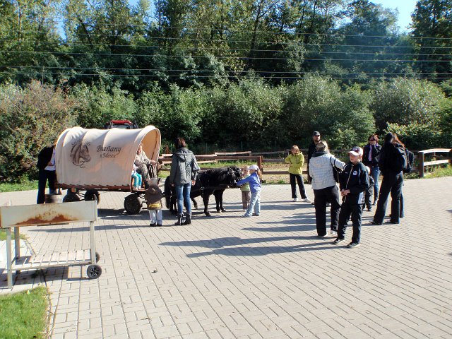 P9190026.JPG