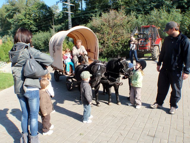 P9190028.JPG