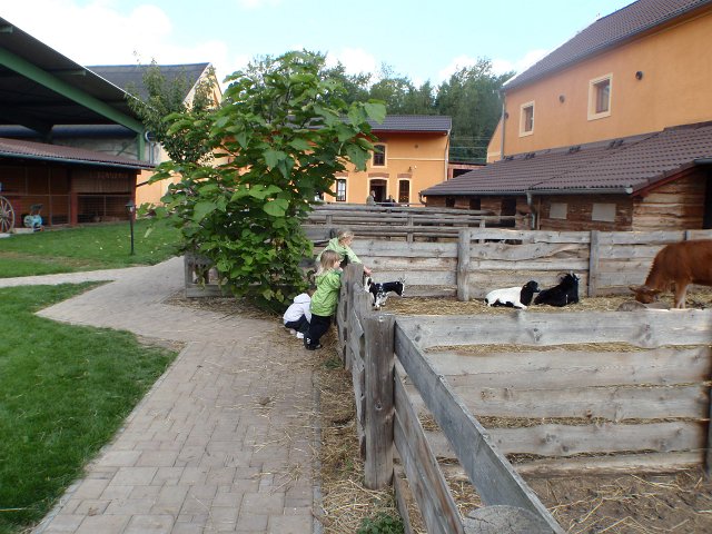 P9190082.JPG