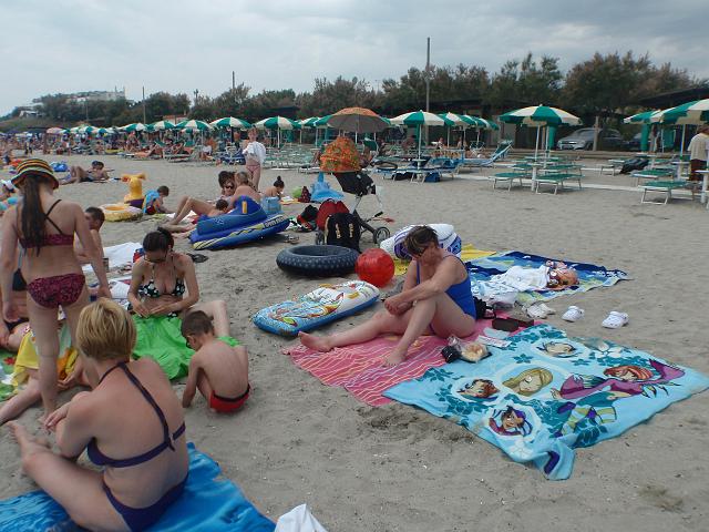 P6050055.JPG