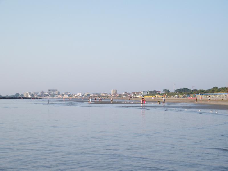 DSCF2466.JPG